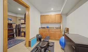 62 Lazy Rex Rd, Alma, CO 80440