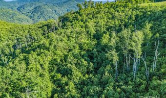 H and H Trail, Bat Cave, NC 28710