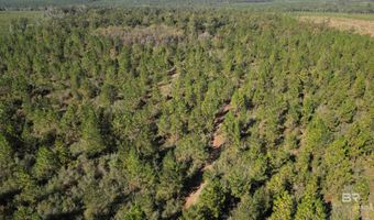 25001 Highway 112, Bay Minette, AL 36507
