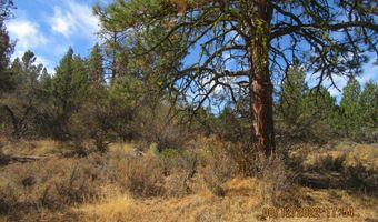 Tiger Lane lot 2, Bonanza, OR 97623