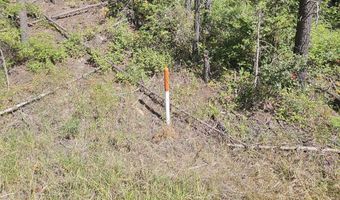 NKA HWY 95, Bonners Ferry, ID 83805