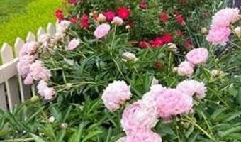22364 WILSON MEADOWS Ln, Aldie, VA 20105