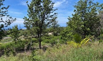 92-8424 KING KAMEHAMEHA Blvd, Ocean View, HI 96737