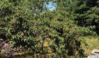60 Vineyard, Abbeville, SC 29620