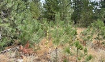 Lot 4 Sheep Springs Rd, Athol, ID 83801