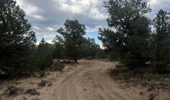 Forest Road 556, Carson, NM 87517