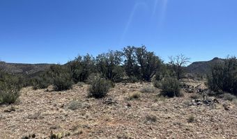 295 Old Deputy Shortline, Ash Fork, AZ 86320