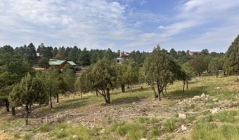 Lot 9 150 Mira Monte, Alto, NM 88312