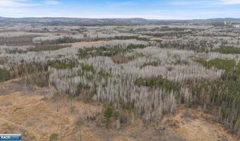 TBD Lane 55 County Road 341, Aurora, MN 55705