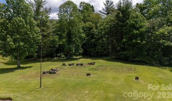 1424 Bear Creek Rd, Bakersville, NC 28705