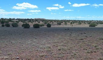 Tbd Ranch of the White Mountains, Concho, AZ 85924