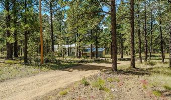 41 Susan Ln, Angel Fire, NM 87710