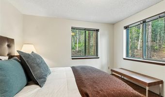 132 REILING Rd, Breckenridge, CO 80424