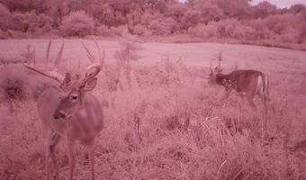 189 Th St, Albia, IA 52531