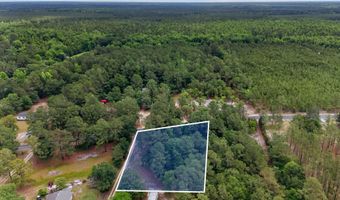 Point Caswell Road lot 16A, Atkinson, NC 28421