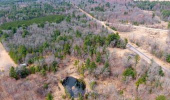 Dover Drive lot 2 +/-43 Ac, Adams, WI 53910