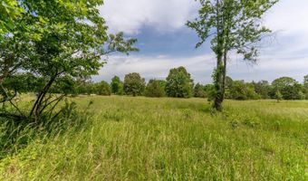 676 County Road 403, Alton, MO 65606