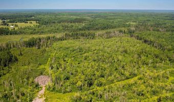 TBD Township Rd 5743, Alborn, MN 55702