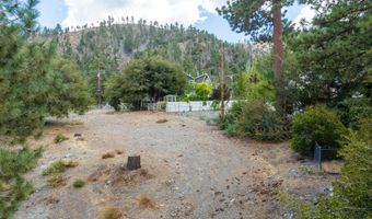 5240 Desert View Dr, Wrightwood, CA 92397