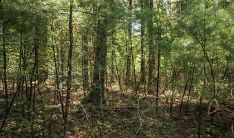 19 Th Pass Lot 132, Arkdale, WI 54613