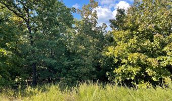 Lot 77 Eufaula Lake Drive, McAlester, OK 74501