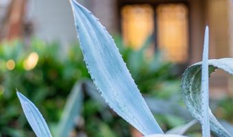 1804 River Pointe Dr, Albany, GA 31701