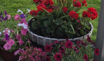 204 S Lawson St, Airway Heights, WA 99001