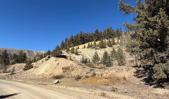 0 County Road 787, Alma, CO 80420