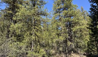 Horned Owl Way 385461, Bonanza, OR 97623