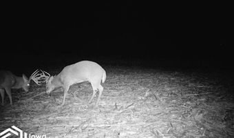 560 Th Ave, Albia, IA 52531