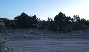 Fort Defina Road, Abiquiu, NM 87548