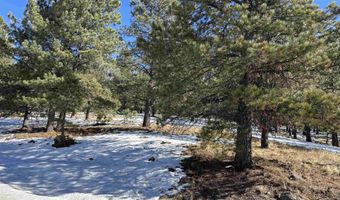 Lot 19 Buckskin Rd, Angel Fire, NM 87710