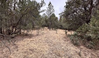 Lot 111 Antler Dr, Alto, NM 88312
