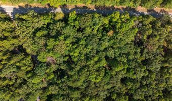 Lot 4 CONSTELLATION DRIVE 2.42 acres, Alpine, AL 35014