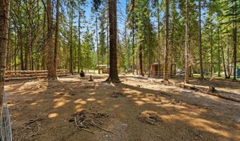 6328 River Rd, Clark Fork, ID 83811