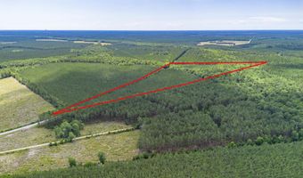Ten Acre Rd, Andrews, SC 29510
