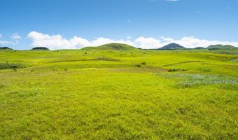 59-1121 KALAMA Way, Kamuela, HI 96743