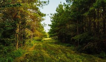 1037 Cr 300, Big Creek, MS 38914