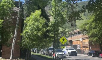 800 E Hopkins Ave A-1, Aspen, CO 81611