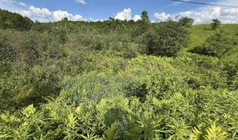 1823 Lost Nation Rd, Bakersfield, VT 05448