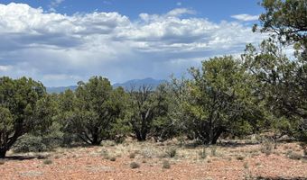 61 Colt Ct Se4 Rd, Ash Fork, AZ 86320