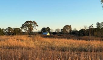 447 County Road 215, Abbeville, MS 38601