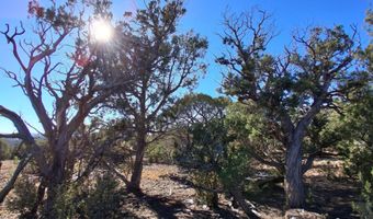 0203 County Rd, Concho, AZ 85924
