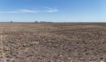 0 CR 332, Anton, TX 79313