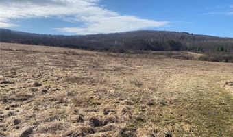 4005 Cr-2, Angelica, NY 14709