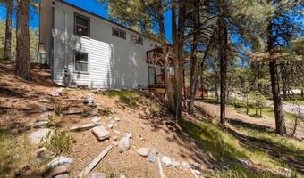 630 Forest Lakes Dr, Bayfield, CO 81122