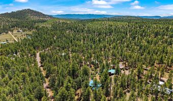 20 County Rd N2120, Alpine, AZ 85920