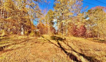ROCK CREEK PENNINSULA, Arley, AL 35541