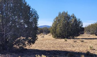 251 Se4 Juniperwood Rnch, Ash Fork, AZ 86320