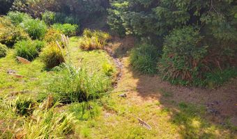 19921 WHALESHEAD Rd Ov8, Brookings, OR 97415